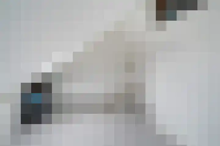 IJmeerstraat 87 Berkel en Rodenrijs thumbnail 30