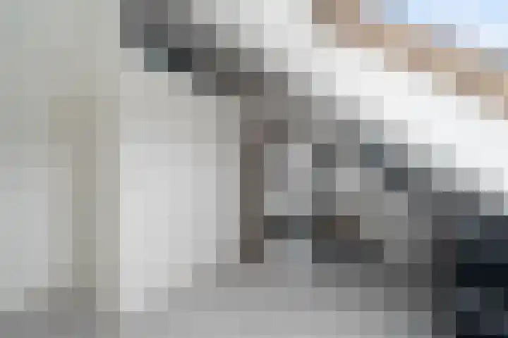 IJmeerstraat 87 Berkel en Rodenrijs thumbnail 31