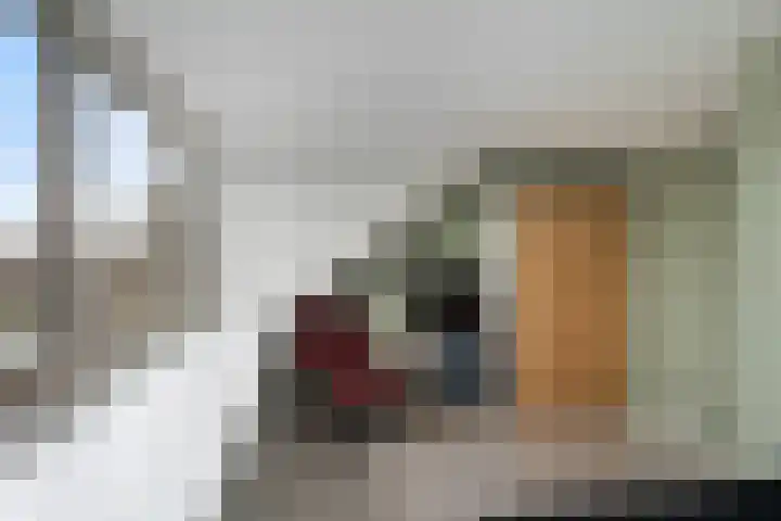 IJmeerstraat 87 Berkel en Rodenrijs thumbnail 34
