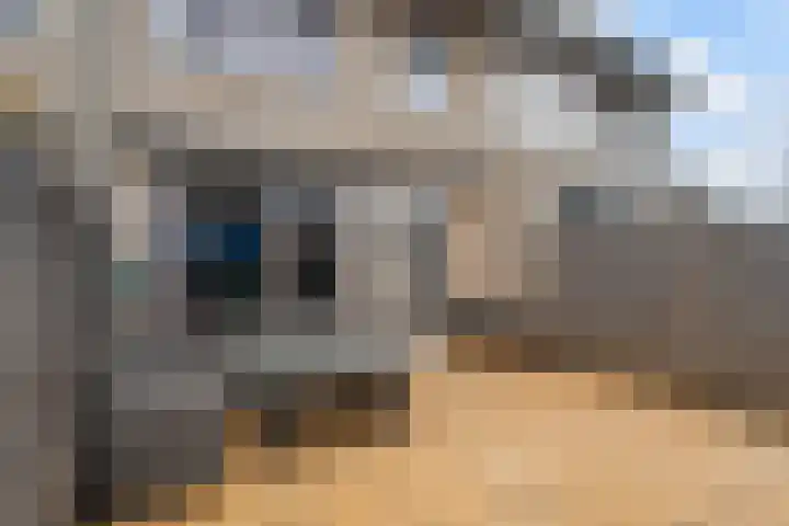 IJmeerstraat 87 Berkel en Rodenrijs thumbnail 36