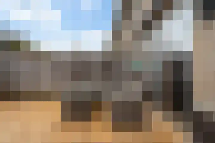 IJmeerstraat 87 Berkel en Rodenrijs thumbnail 37