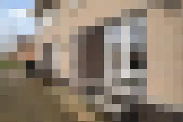 IJmeerstraat 87 Berkel en Rodenrijs thumbnail 6