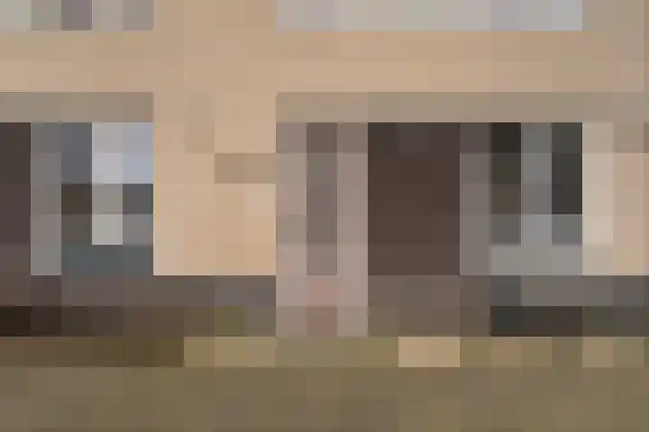 IJmeerstraat 87 Berkel en Rodenrijs thumbnail 7