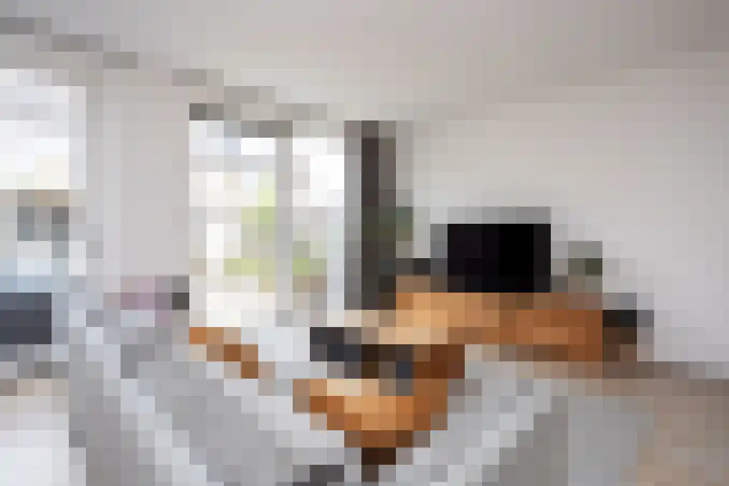 IJmeerstraat 91 Berkel en Rodenrijs thumbnail 16