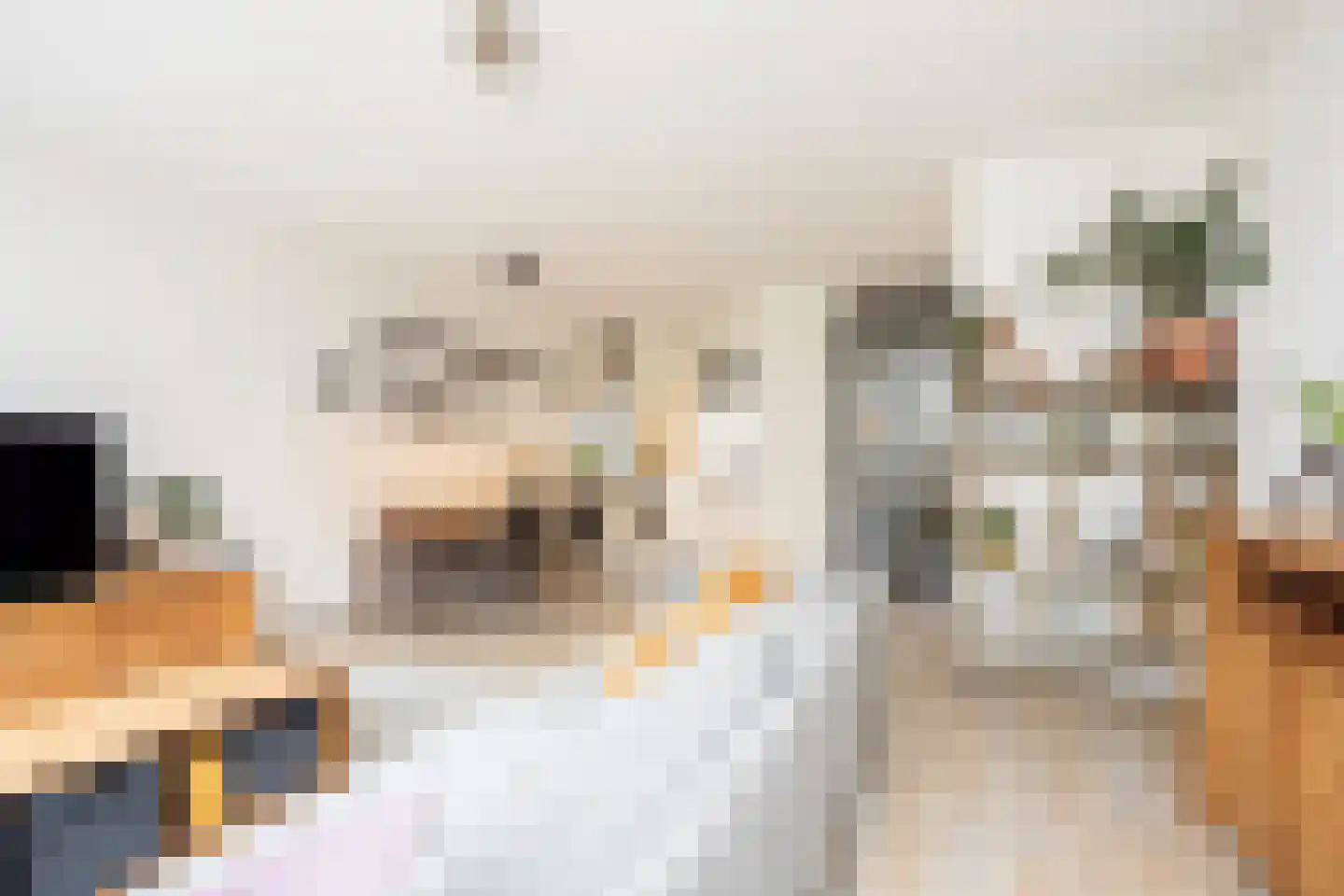 IJmeerstraat 91 Berkel en Rodenrijs thumbnail 17
