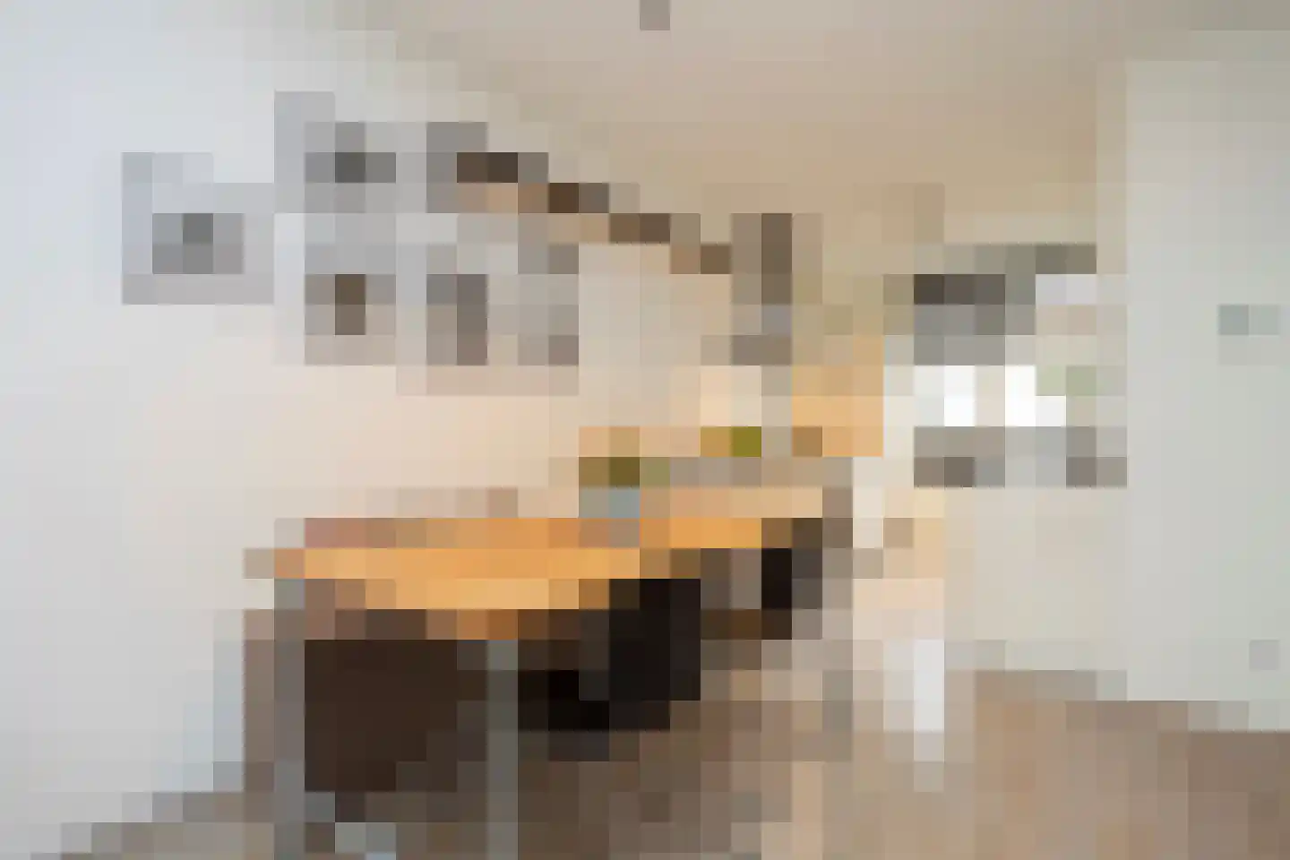 IJmeerstraat 91 Berkel en Rodenrijs thumbnail 22