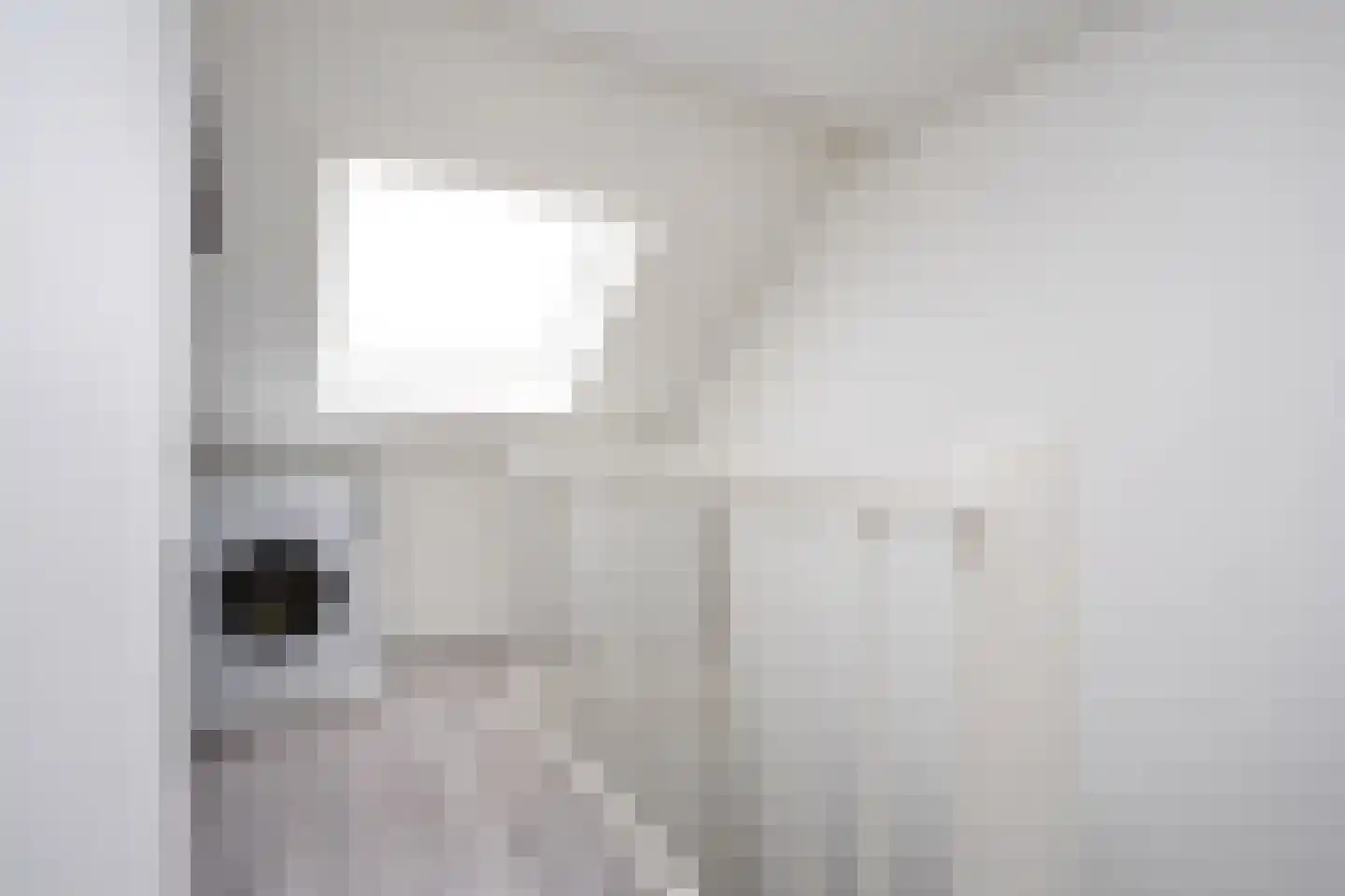 IJmeerstraat 91 Berkel en Rodenrijs thumbnail 39
