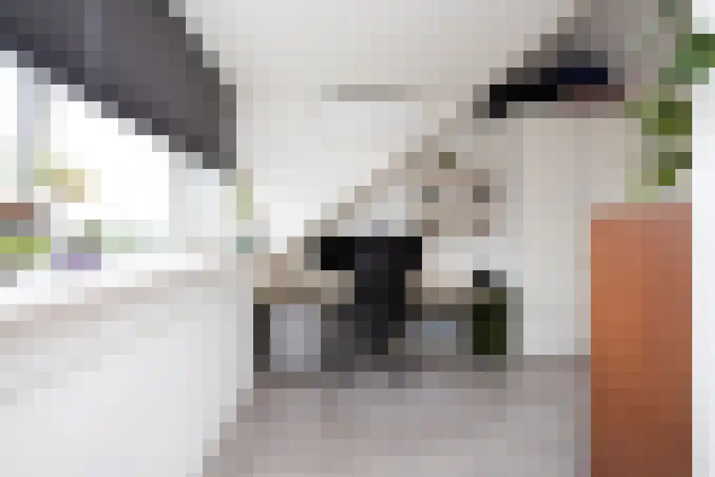 IJmeerstraat 91 Berkel en Rodenrijs thumbnail 43