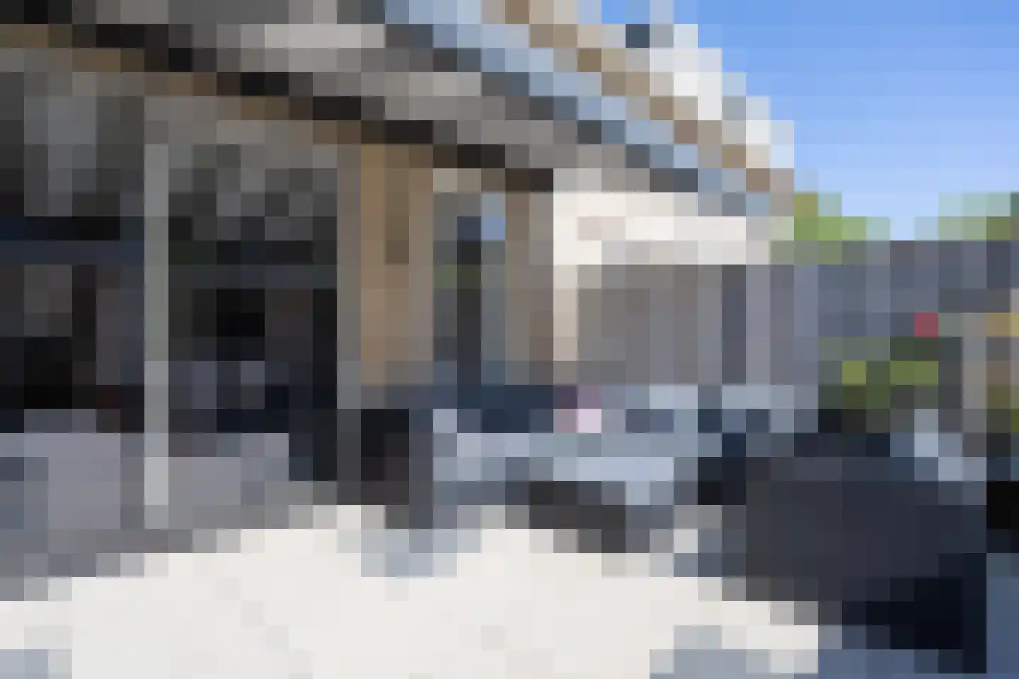 IJmeerstraat 91 Berkel en Rodenrijs thumbnail 48