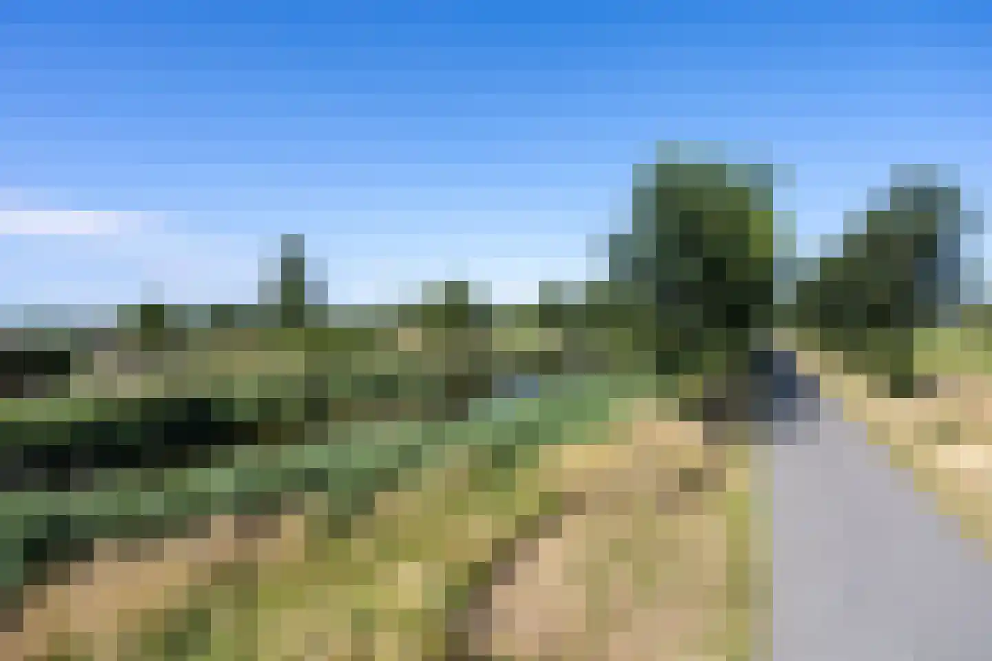 IJmeerstraat 91 Berkel en Rodenrijs thumbnail 56