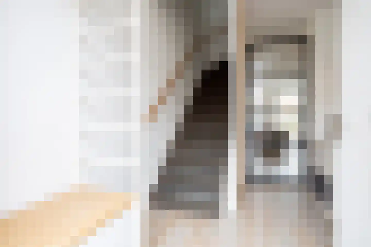 IJmeerstraat 91 Berkel en Rodenrijs thumbnail 9