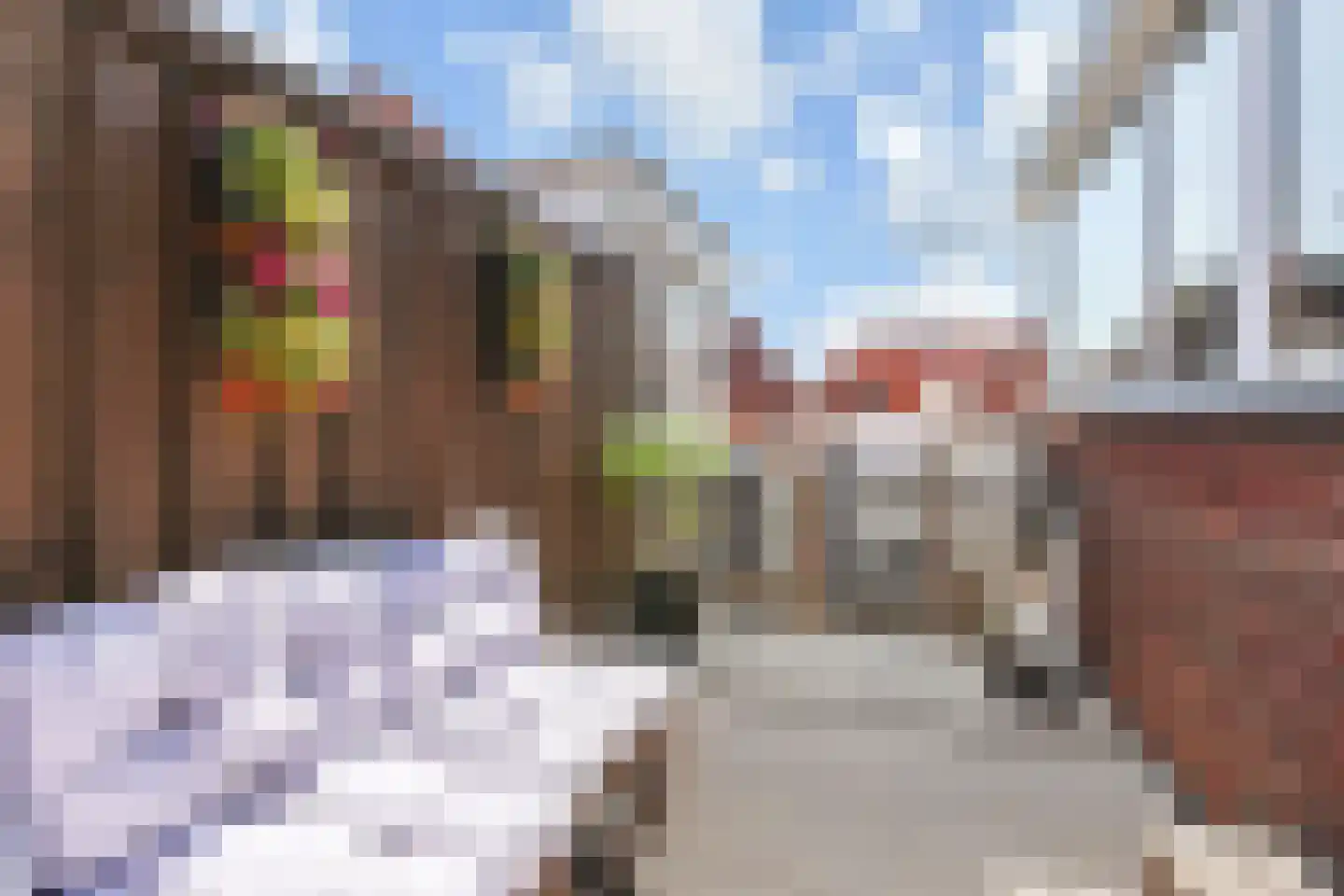 IJmuidenstraat 28 Den Haag thumbnail 46