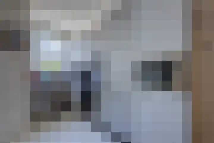 IJmuidenstraat 39 Den Haag thumbnail 5