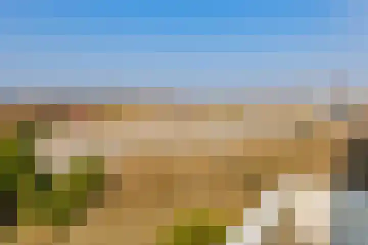 IJmuiderslag 41 IJmuiden thumbnail 17