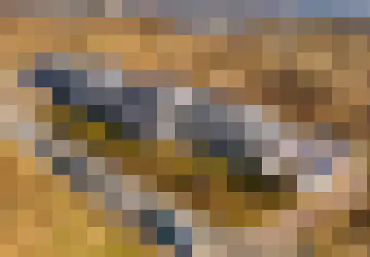 IJmuiderslag 41 IJmuiden thumbnail 39