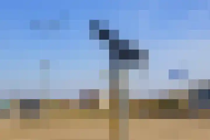 IJmuiderslag 41 IJmuiden thumbnail 47