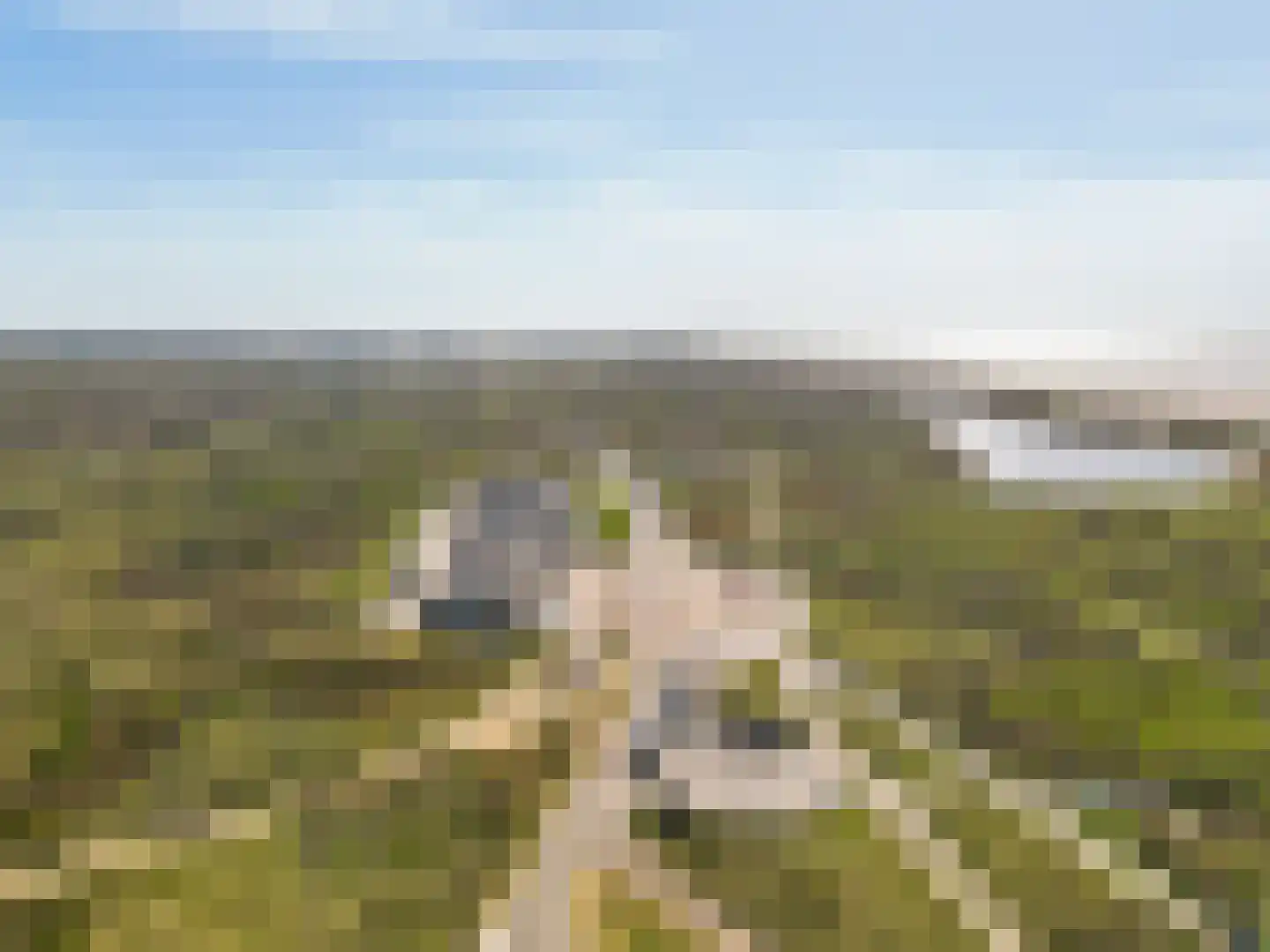 IJmuiderslag 9 IJmuiden thumbnail 50