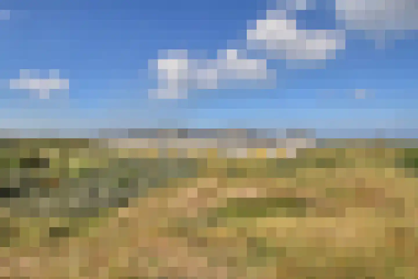 IJmuiderslag 9 IJmuiden thumbnail 55