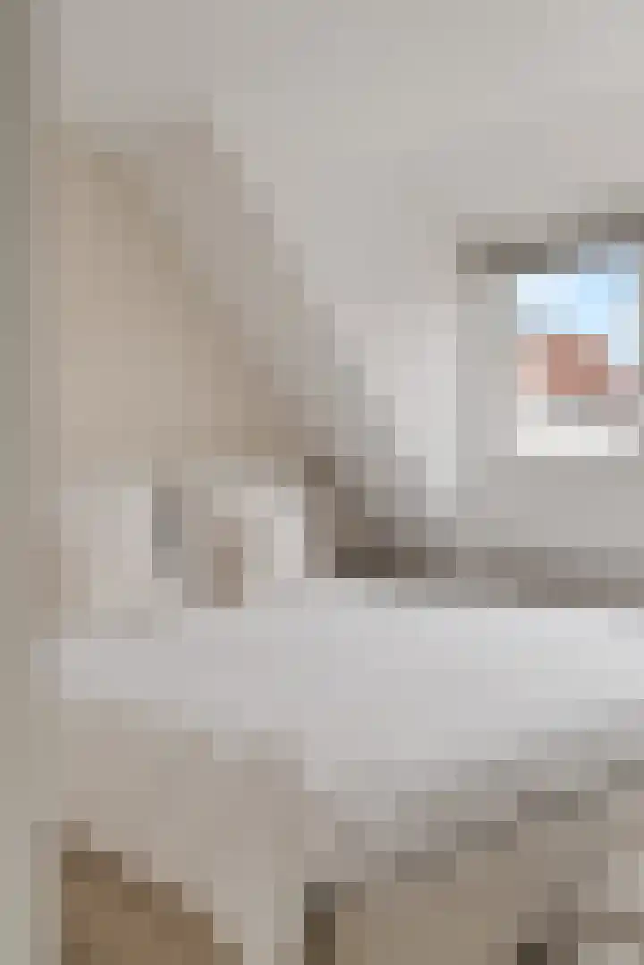 IJmuiderstraat 20 Noordwijk thumbnail 23