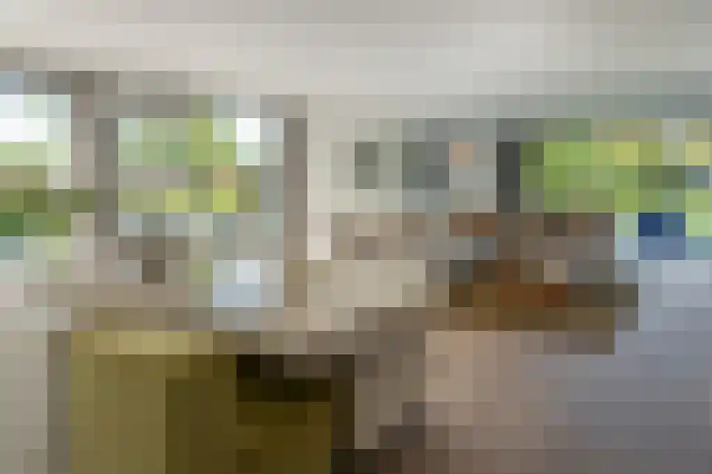 IJntzelaan 13 Mildam thumbnail 14
