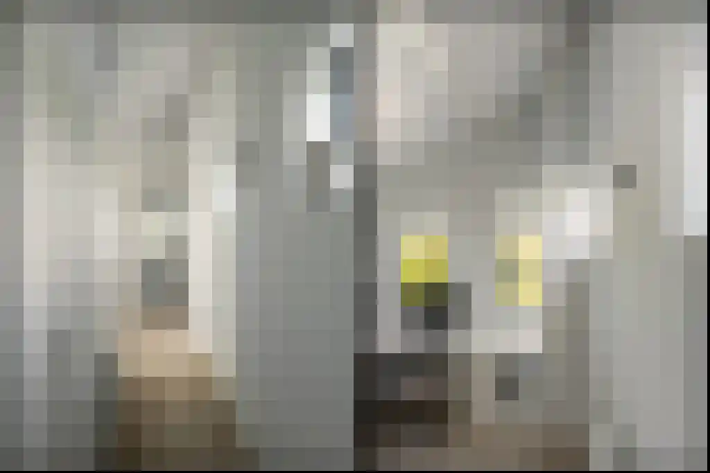 IJntzelaan 13 Mildam thumbnail 23