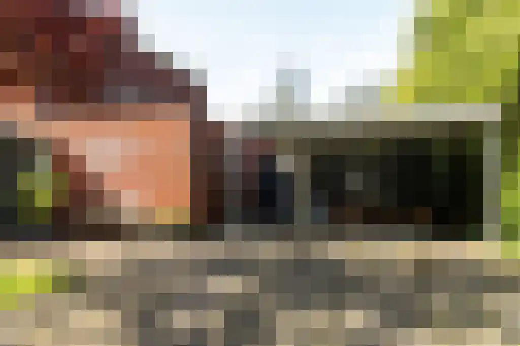 IJntzelaan 13 Mildam thumbnail 30
