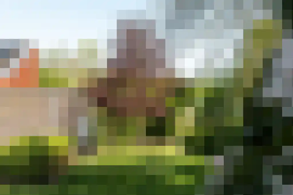 IJntzelaan 13 Mildam thumbnail 33