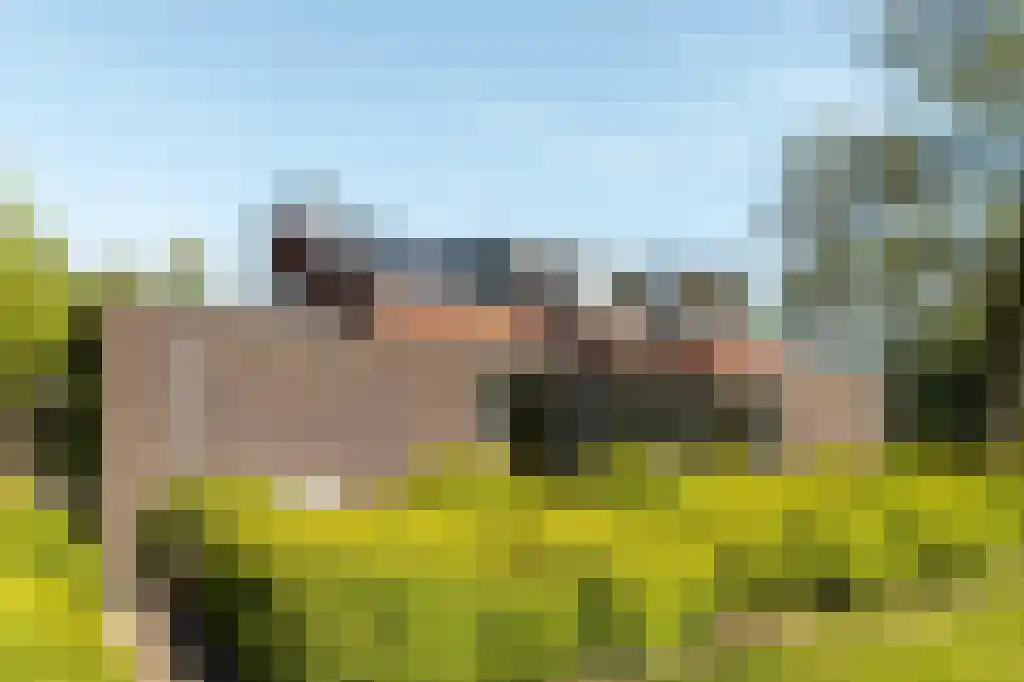 IJntzelaan 13 Mildam thumbnail 34