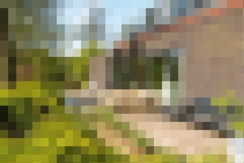 IJntzelaan 13 Mildam thumbnail 35