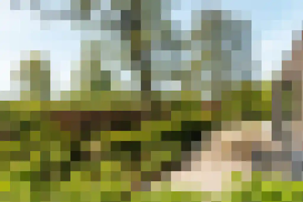 IJntzelaan 13 Mildam thumbnail 36