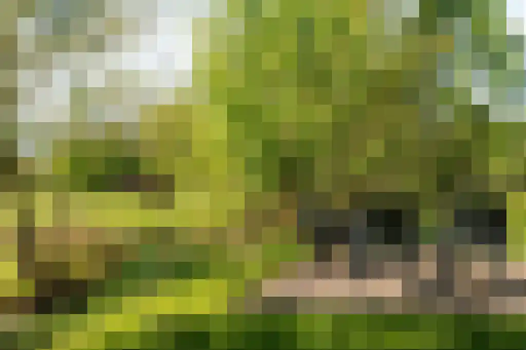 IJntzelaan 13 Mildam thumbnail 39