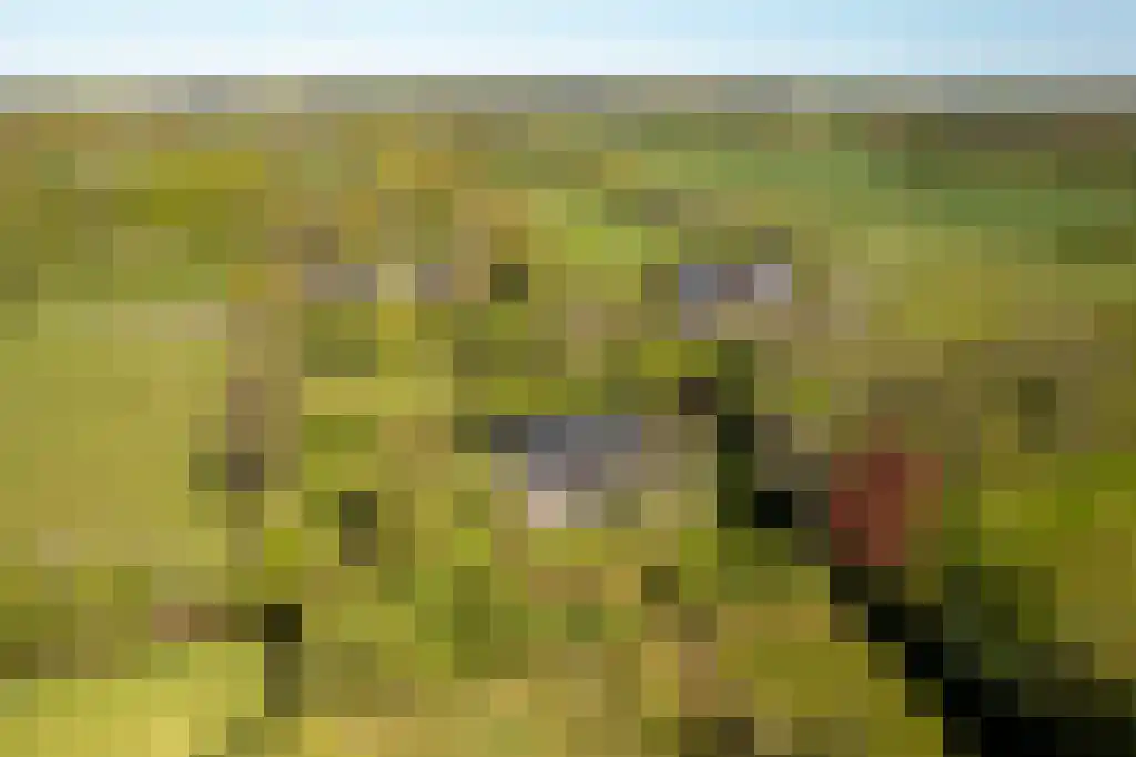 IJntzelaan 13 Mildam thumbnail 40