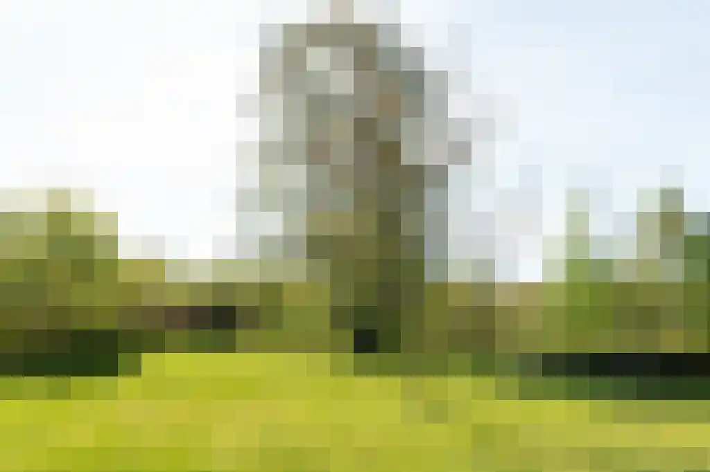 IJntzelaan 13 Mildam thumbnail 41