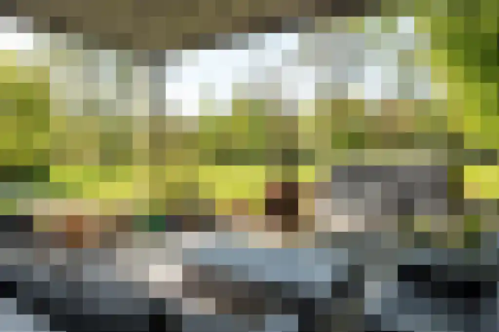 IJntzelaan 13 Mildam thumbnail 43