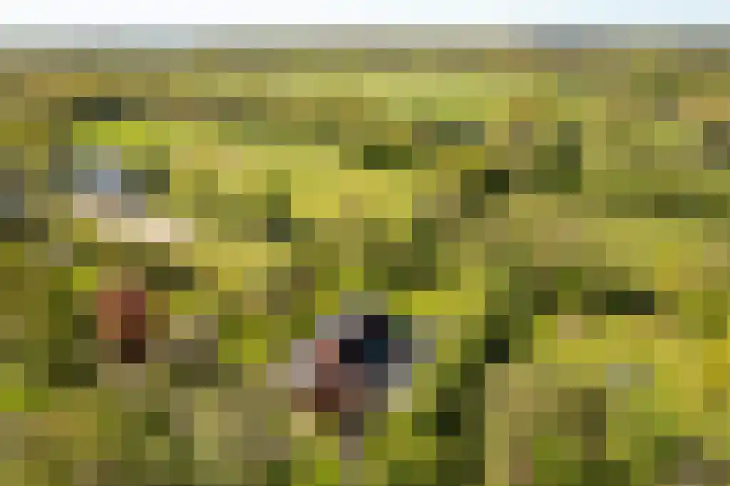 IJntzelaan 13 Mildam thumbnail 45