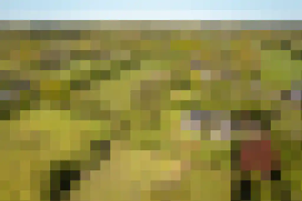 IJntzelaan 13 Mildam thumbnail 48