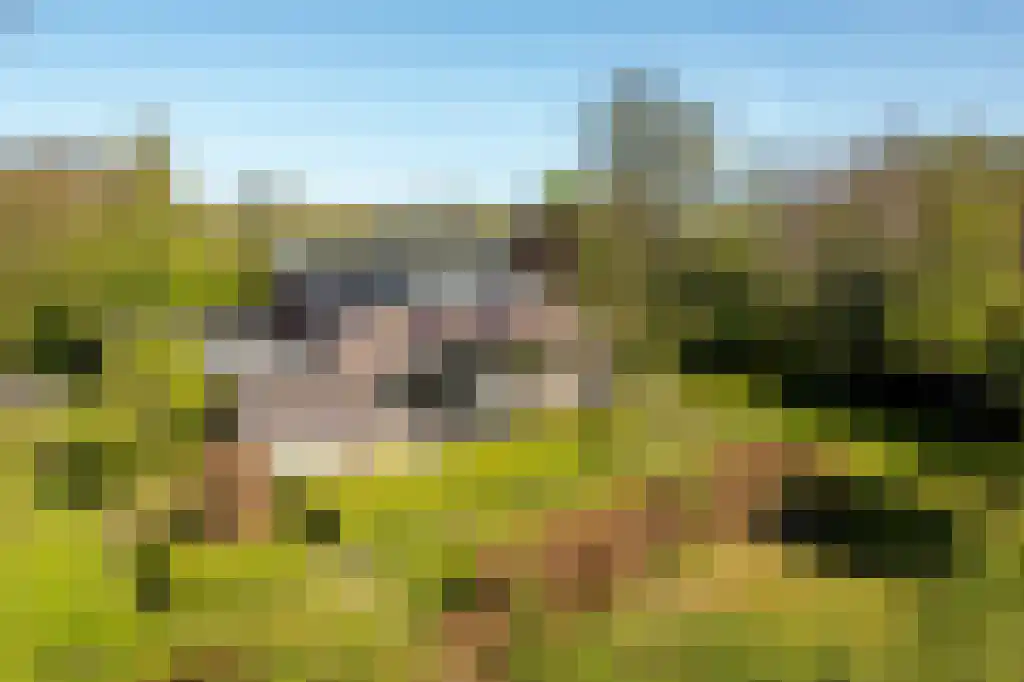 IJntzelaan 13 Mildam thumbnail 5