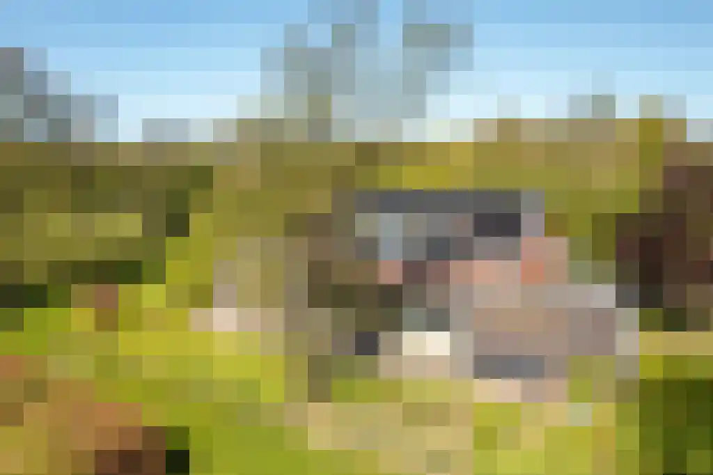 IJntzelaan 13 Mildam thumbnail 6