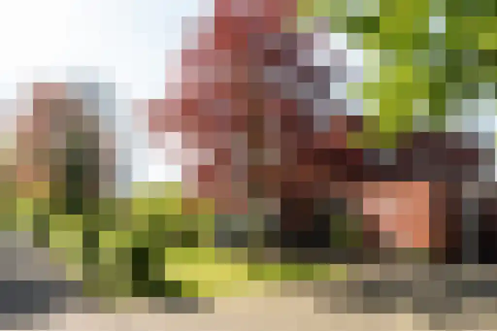 IJntzelaan 13 Mildam thumbnail 8