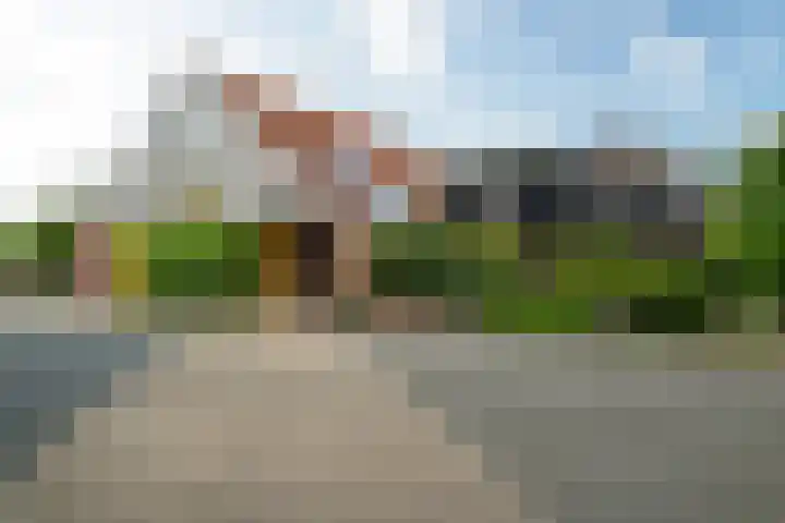 IJpeijsingel 42 Ryptsjerk thumbnail 10