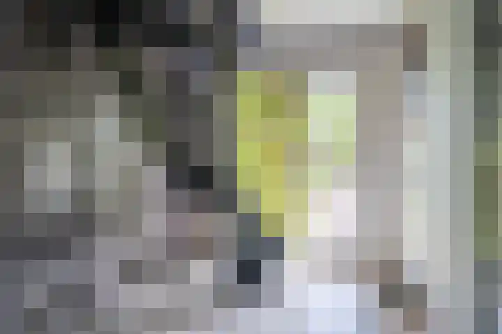 IJpeijsingel 42 Ryptsjerk thumbnail 12