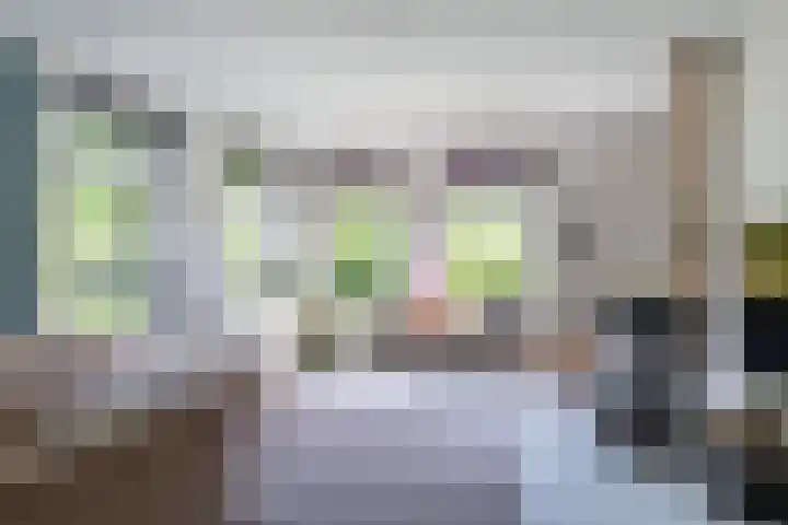 IJpeijsingel 42 Ryptsjerk thumbnail 15