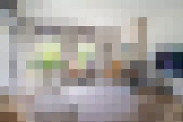 IJpeijsingel 42 Ryptsjerk thumbnail 16