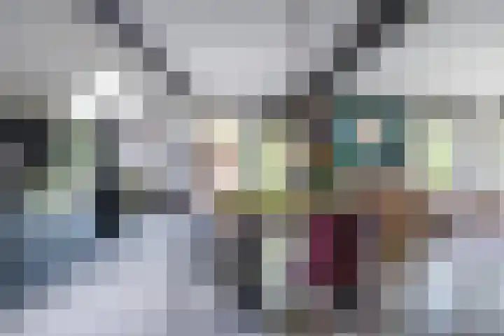 IJpeijsingel 42 Ryptsjerk thumbnail 18