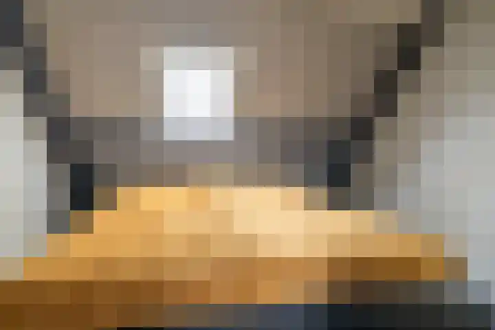 IJpeijsingel 42 Ryptsjerk thumbnail 28