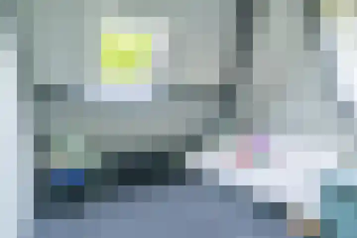 IJpeijsingel 42 Ryptsjerk thumbnail 30