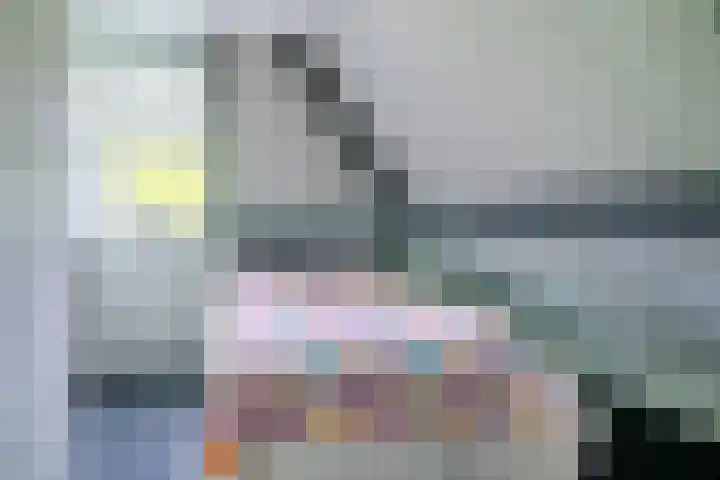 IJpeijsingel 42 Ryptsjerk thumbnail 32