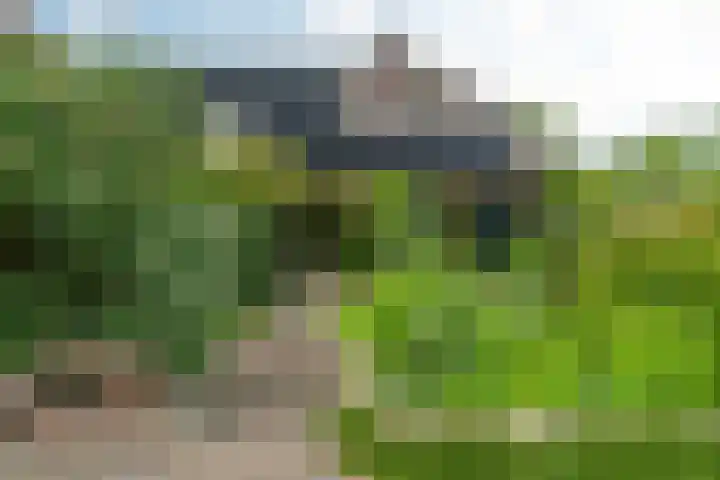 IJpeijsingel 42 Ryptsjerk thumbnail 4