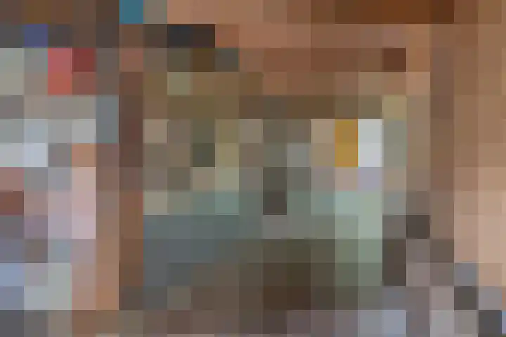 IJpeijsingel 42 Ryptsjerk thumbnail 42