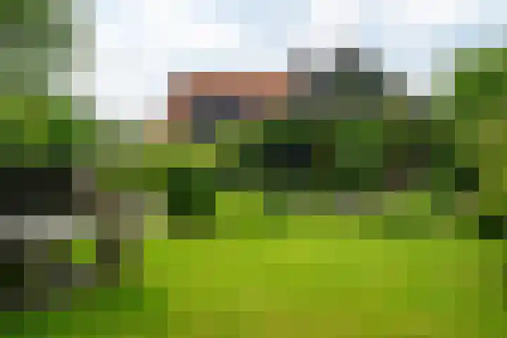 IJpeijsingel 42 Ryptsjerk thumbnail 44